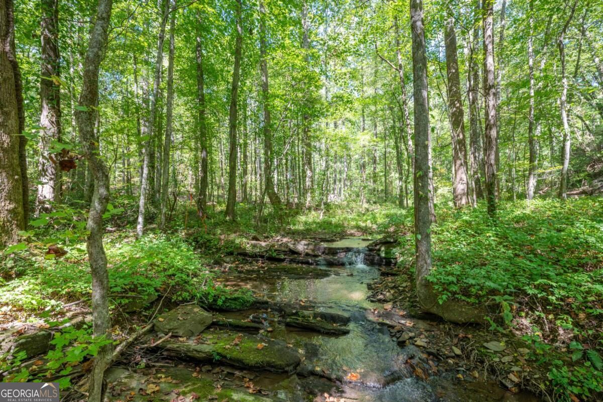 857 Talking Rock Falls Ne Property Photo 11