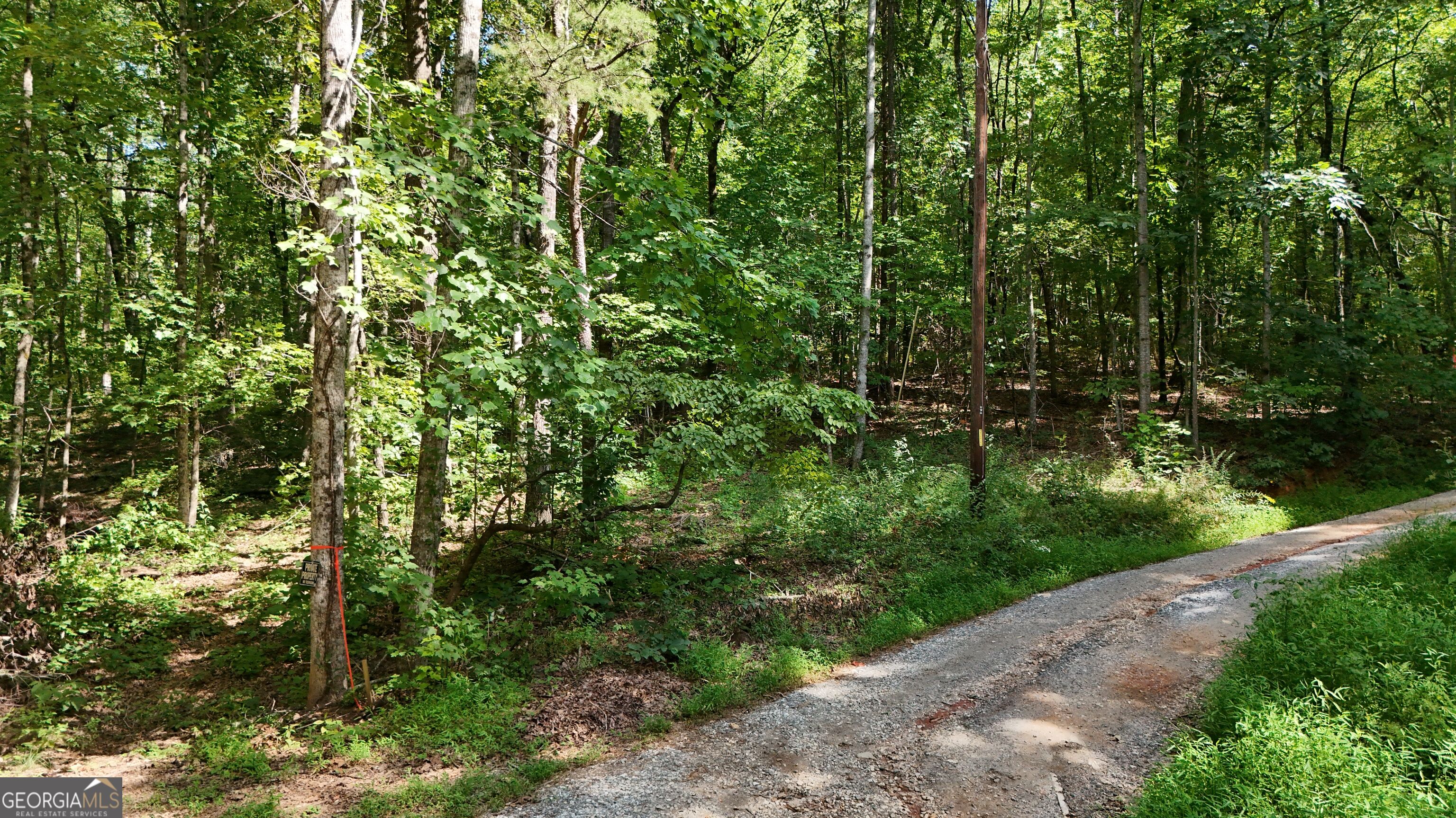 Lot 182 Hillside Drive Property Photo 2