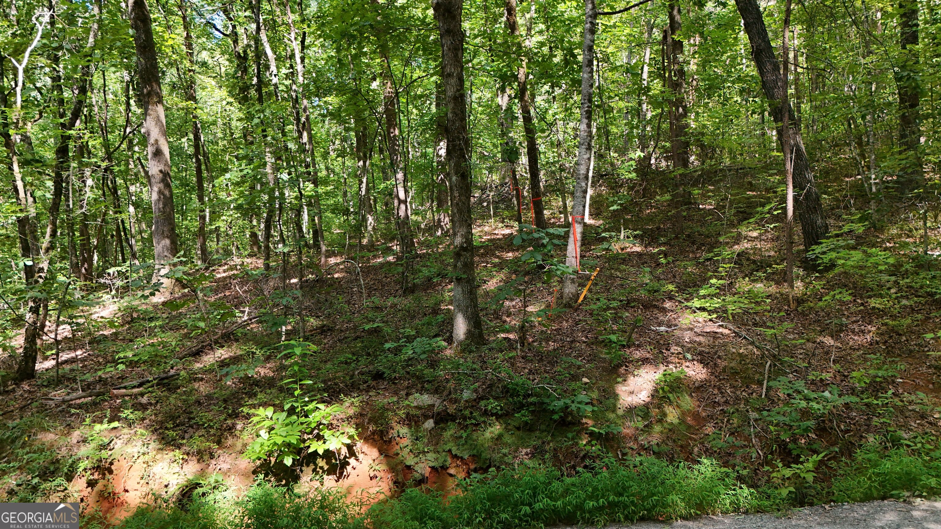 Lot 182 Hillside Drive Property Photo 3
