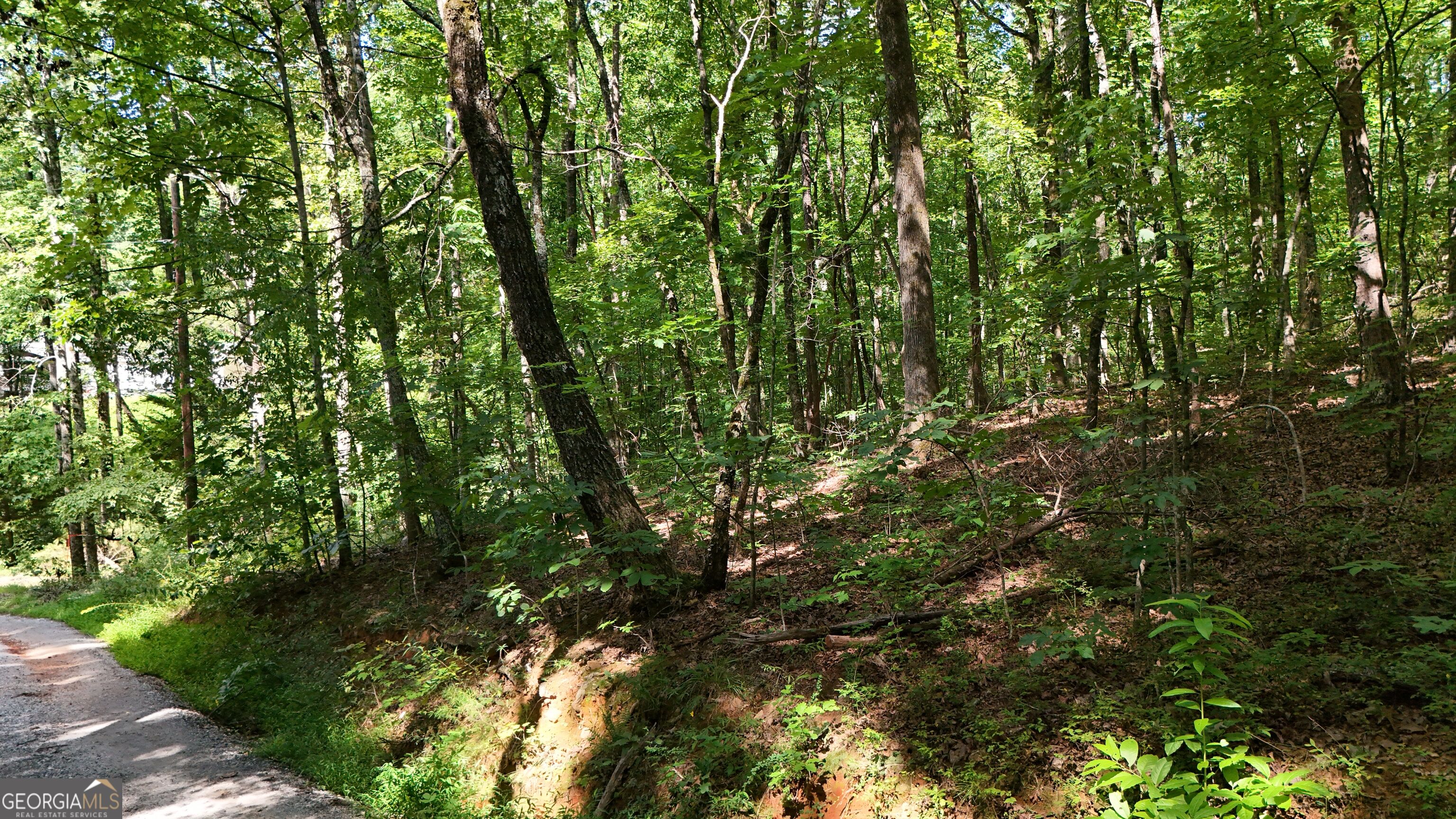 Lot 182 Hillside Drive Property Photo 4