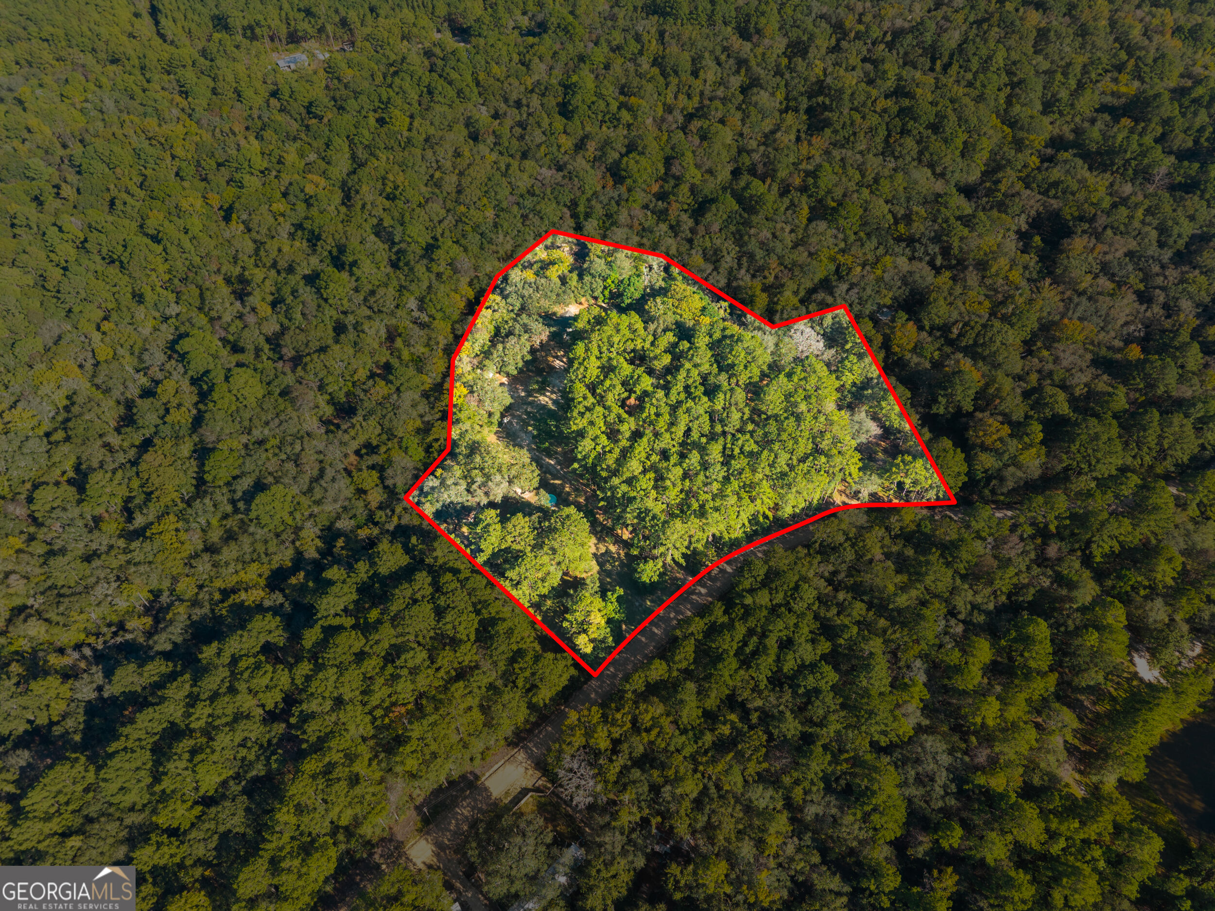 119 Lotts Creek Road Property Photo 3