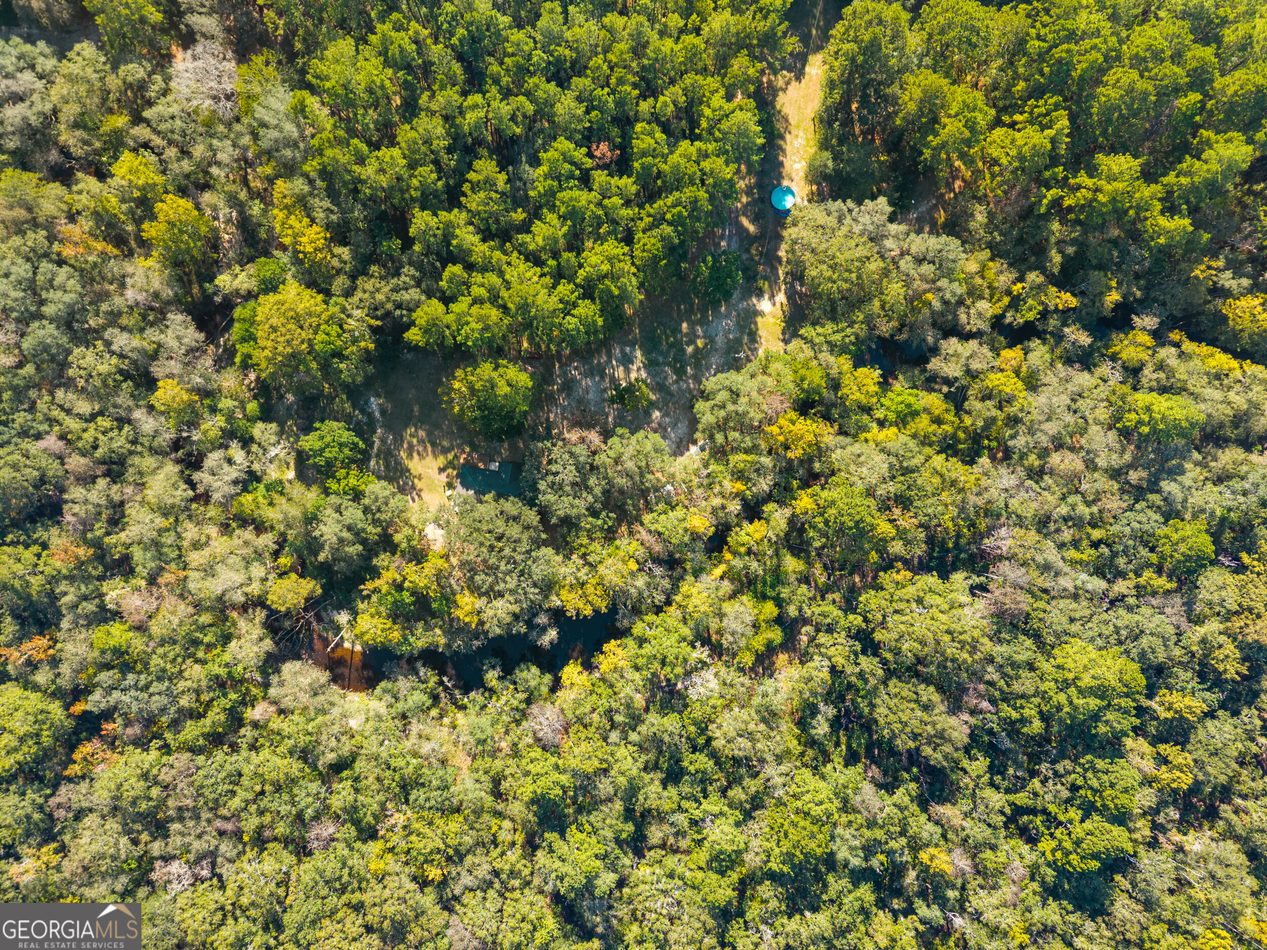 119 Lotts Creek Road Property Photo 31