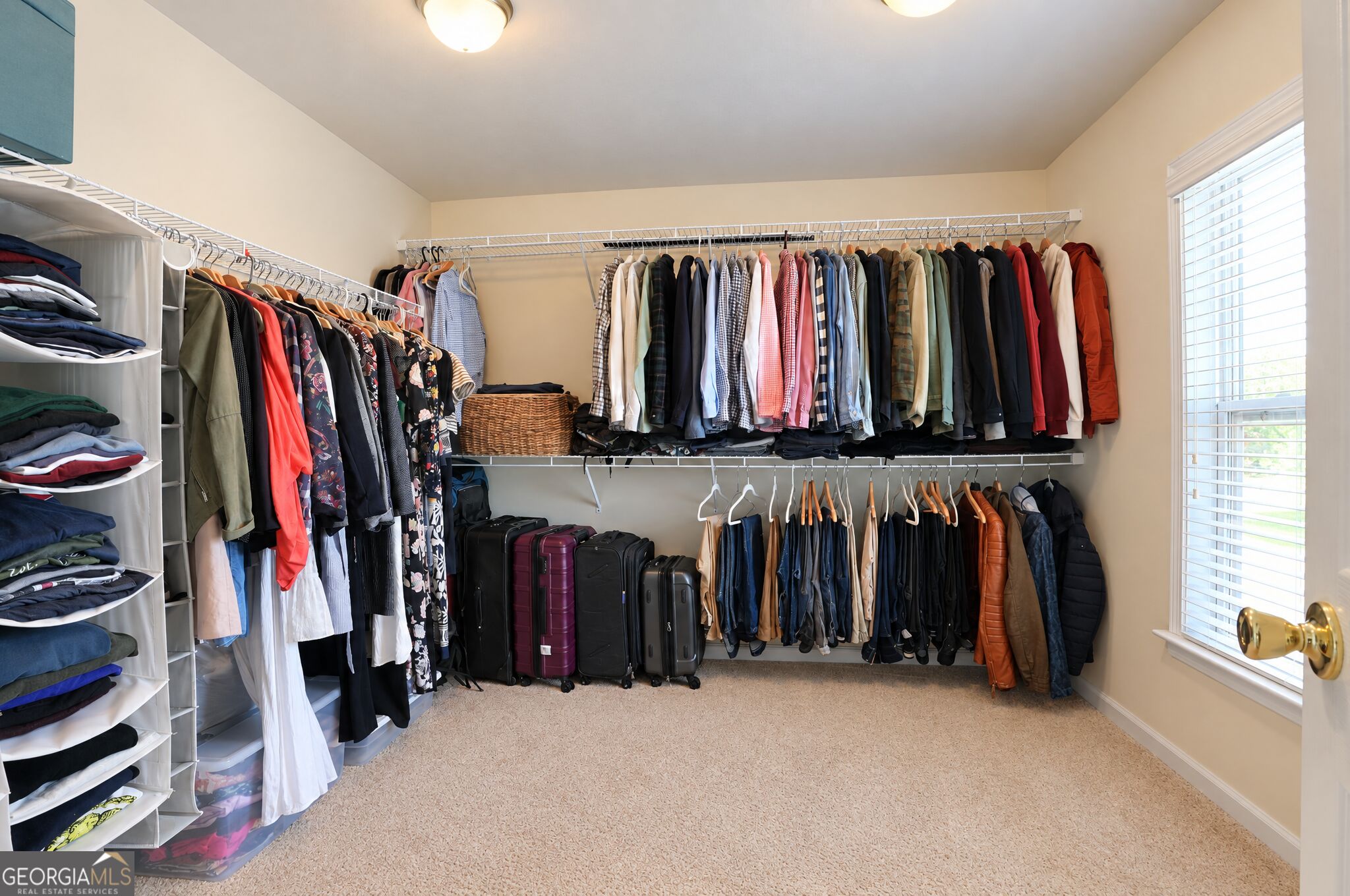 135 Carlisle Street Property Photo 33