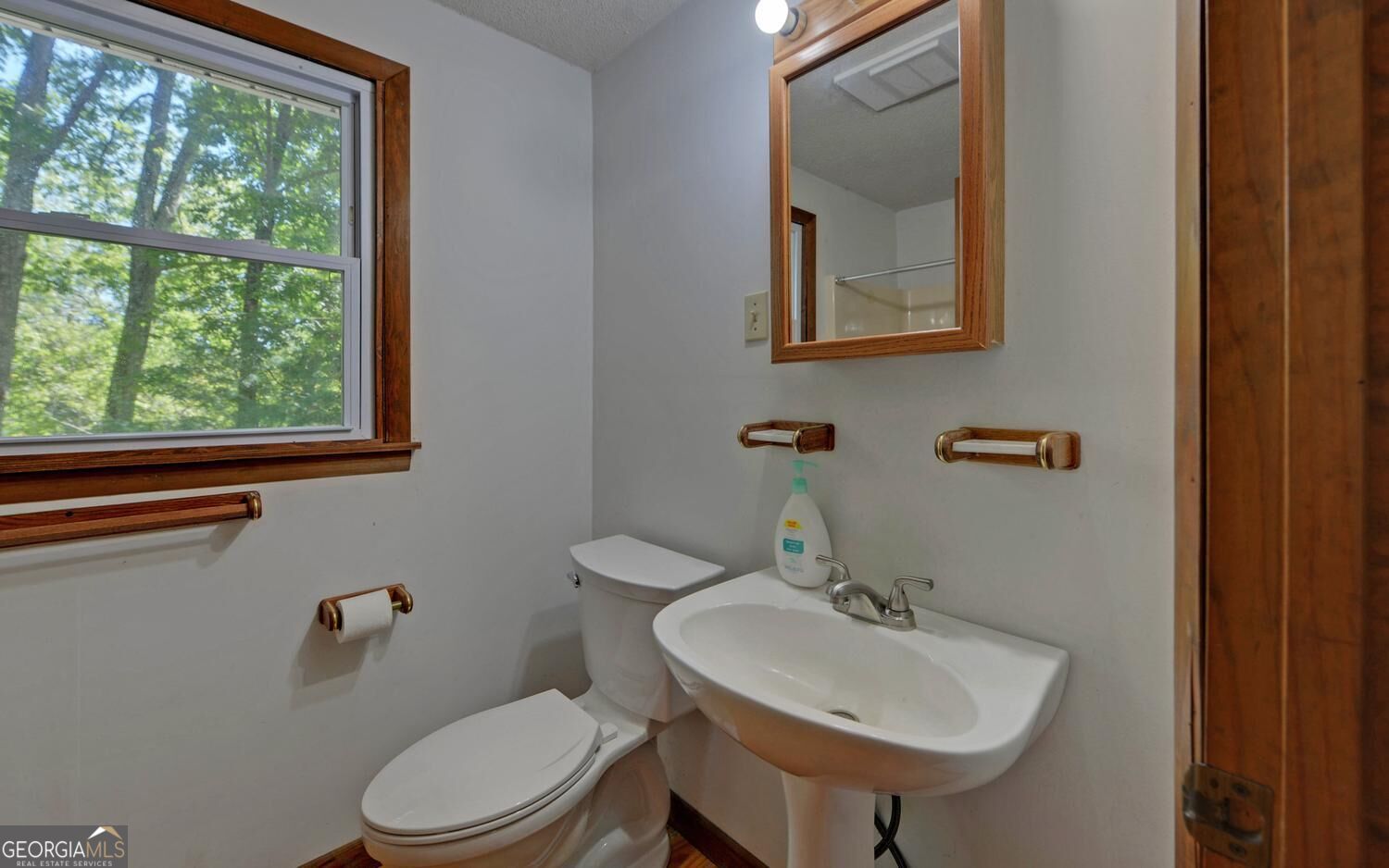 910 Hells Hollow Road Property Photo 20