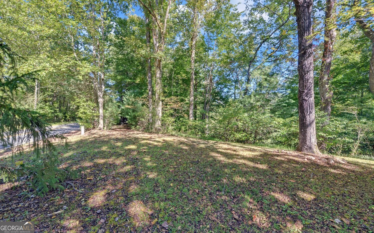 910 Hells Hollow Road Property Photo 34