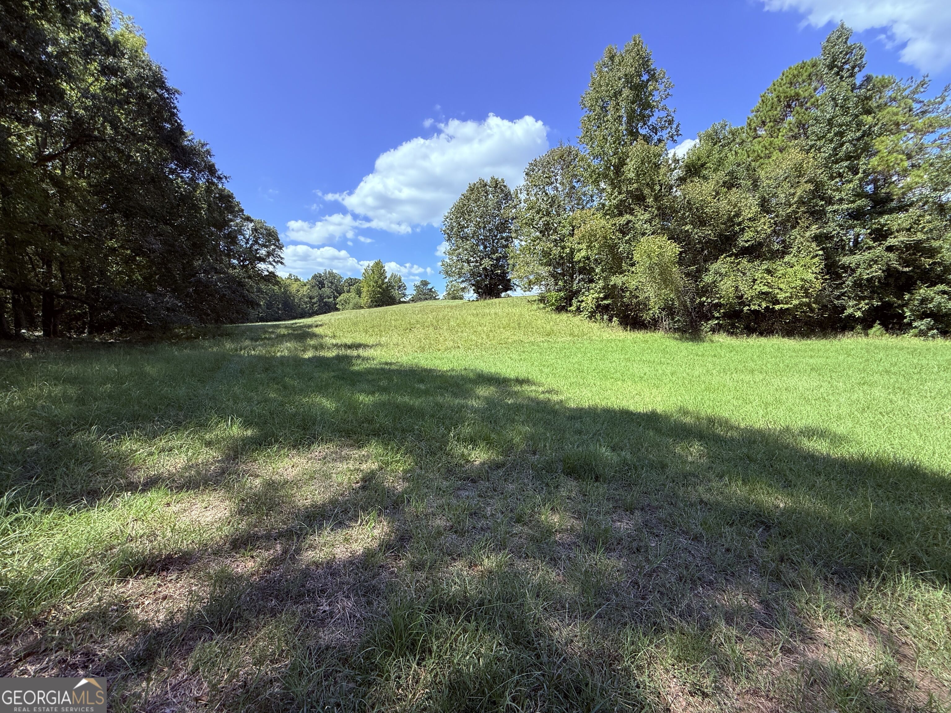 1333 E Hill Street Property Photo 17