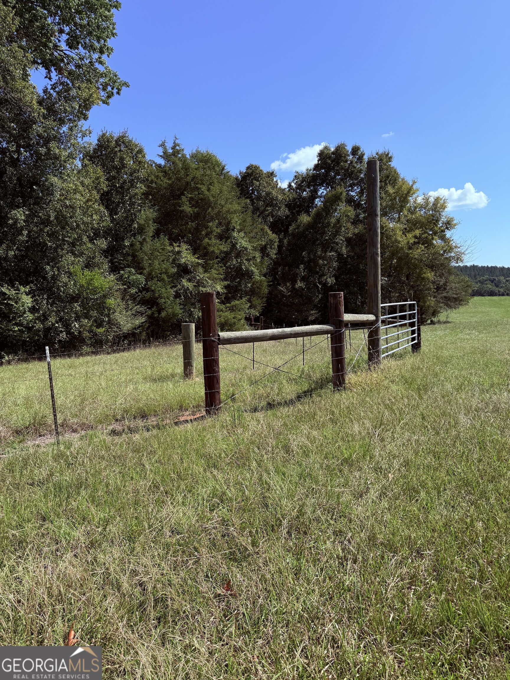 1333 E Hill Street Property Photo 24