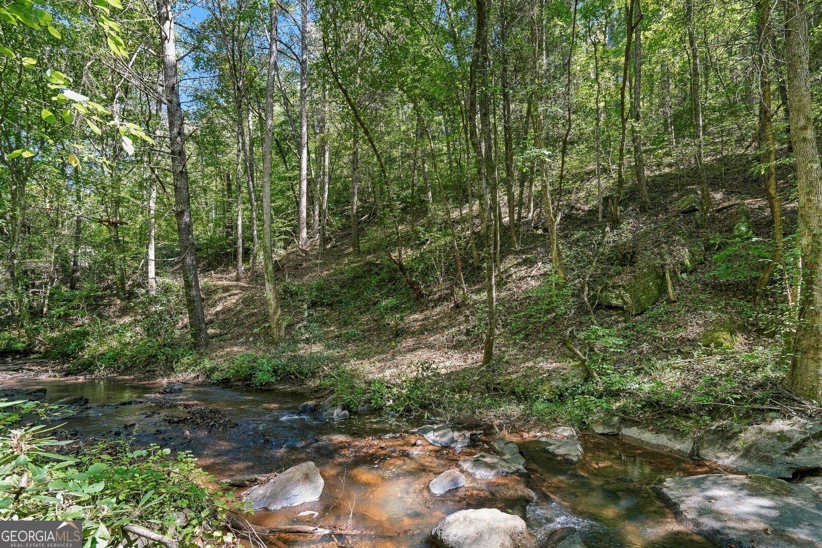0 Dell Moore Road Lot 3 Property Photo 1