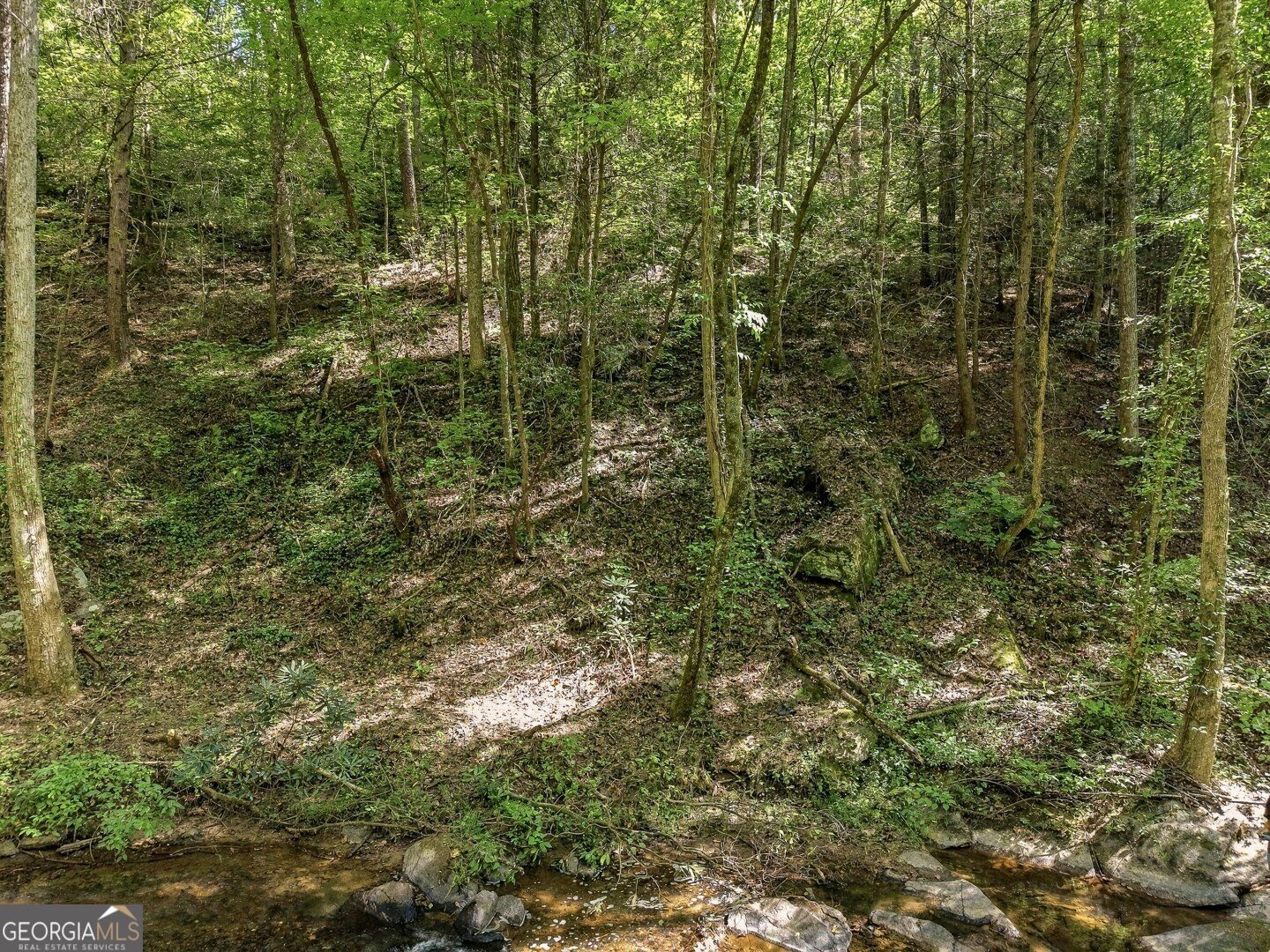 0 Dell Moore Road Lot 3 Property Photo 5