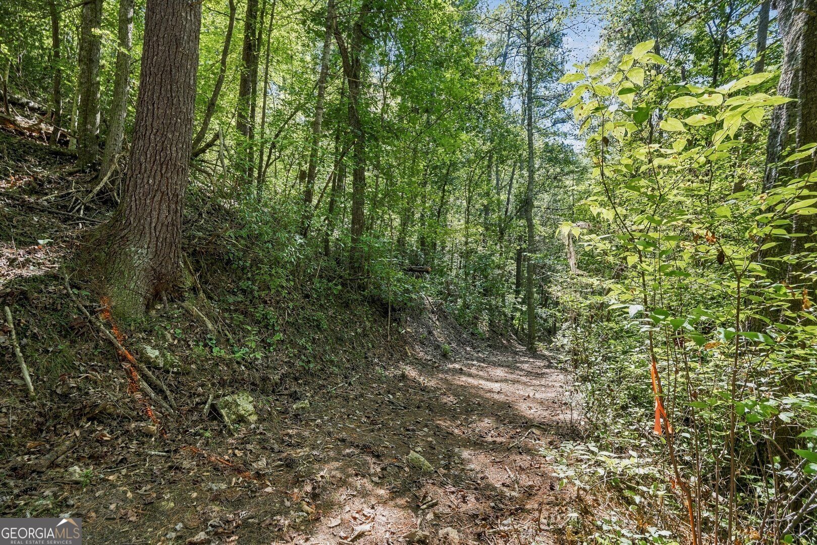 0 Dell Moore Road Lot 3 Property Photo 6