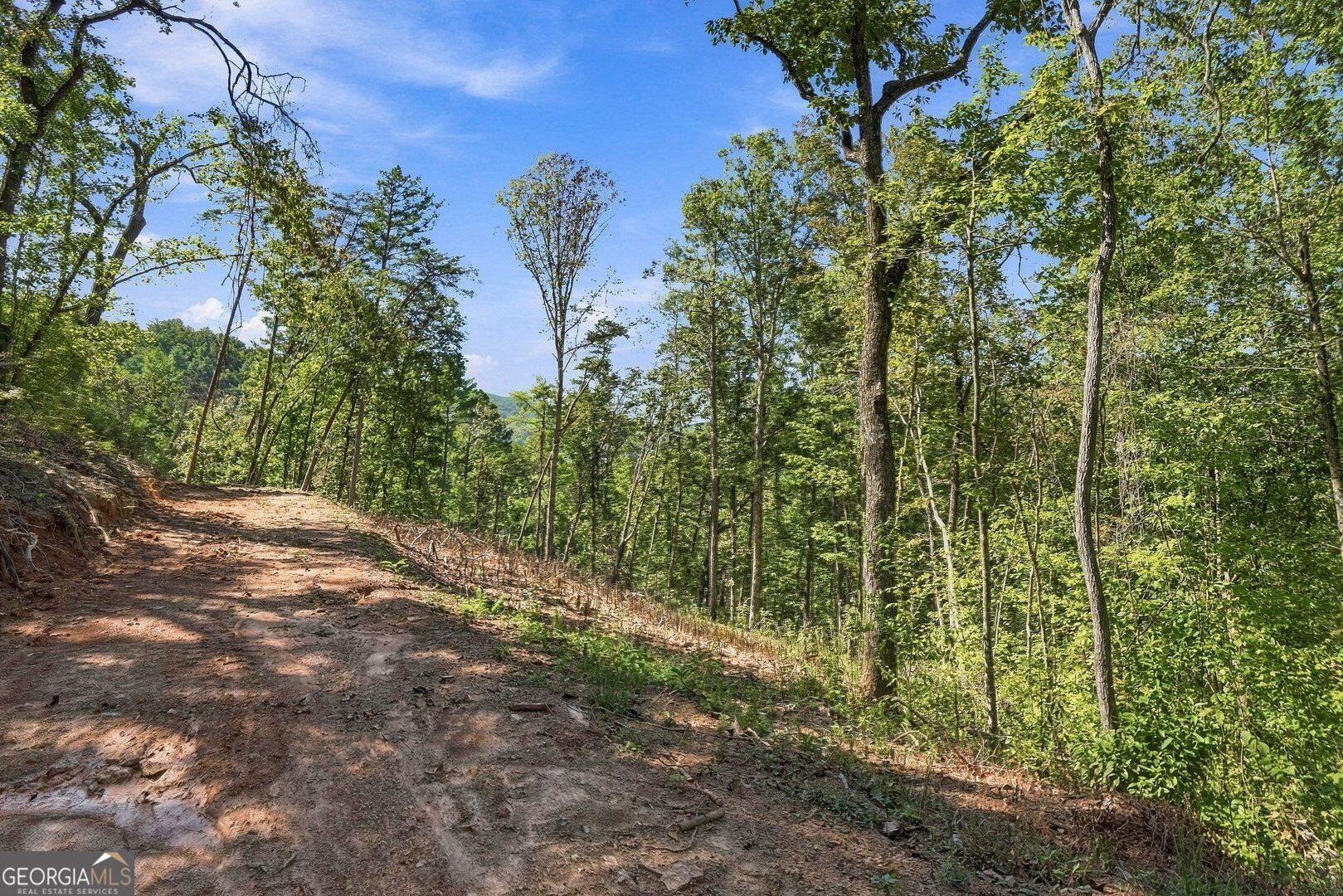 0 Dell Moore Road Lot 3 Property Photo 8