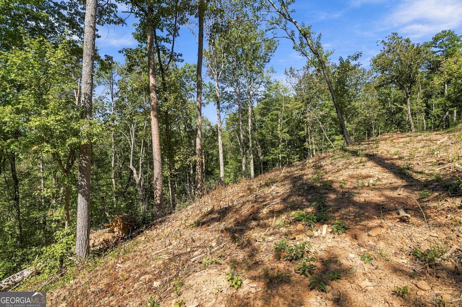 0 Dell Moore Road Lot 3 Property Photo 9