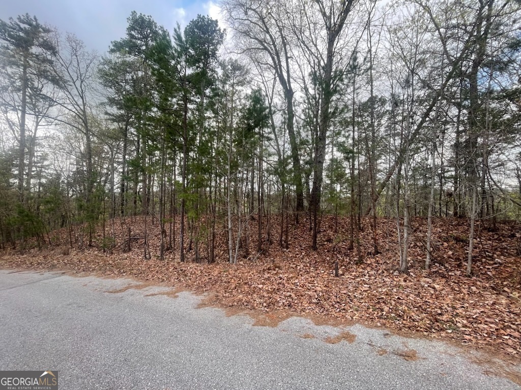 0 Planters Pointe Drive Property Photo 3