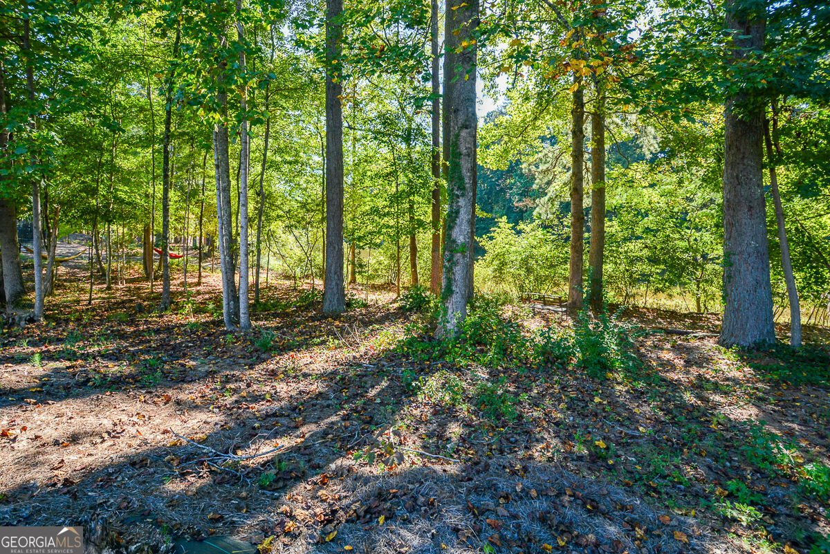 6332 Granbury Walk Property Photo 72