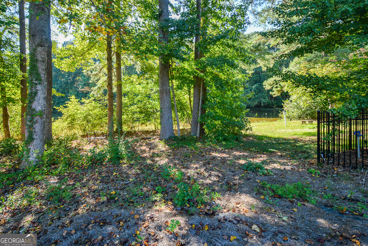 6332 Granbury Walk Property Photo 73