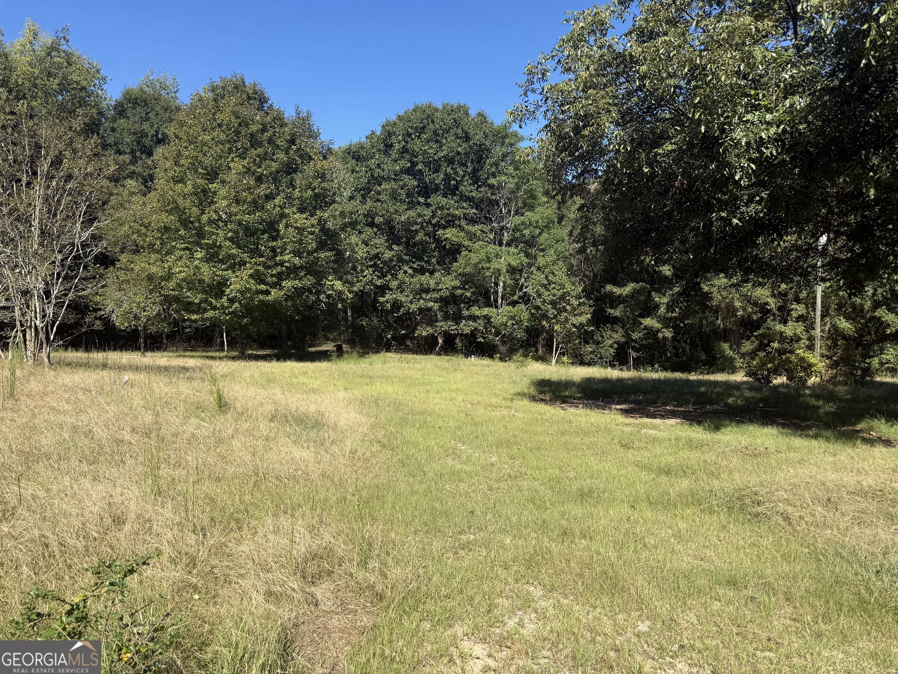 5731 Mount Olive Road Property Photo 2