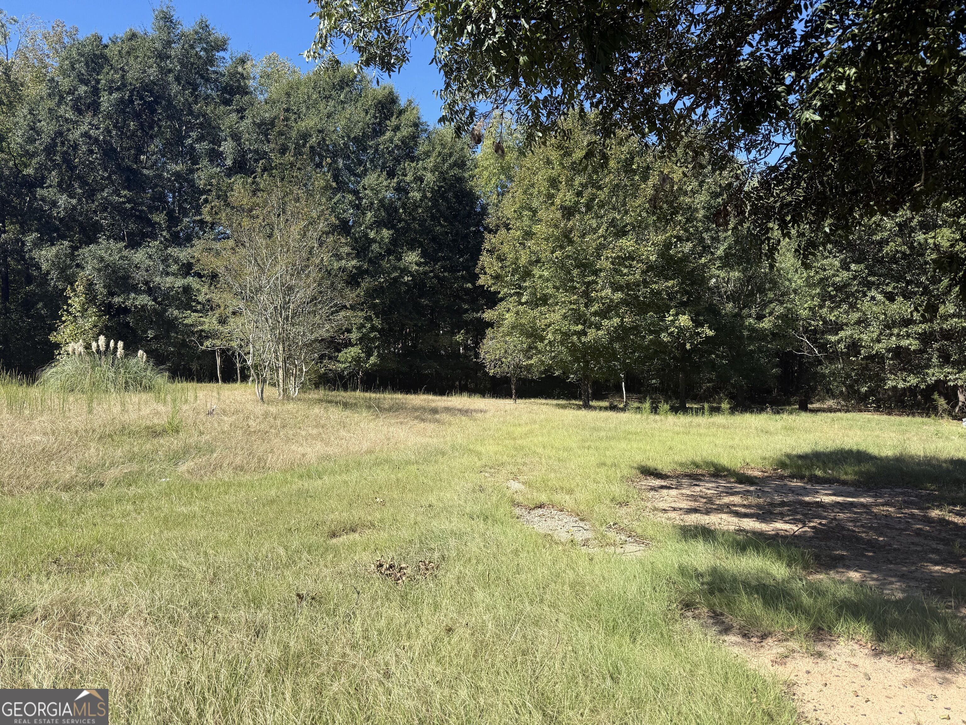5731 Mount Olive Road Property Photo 3