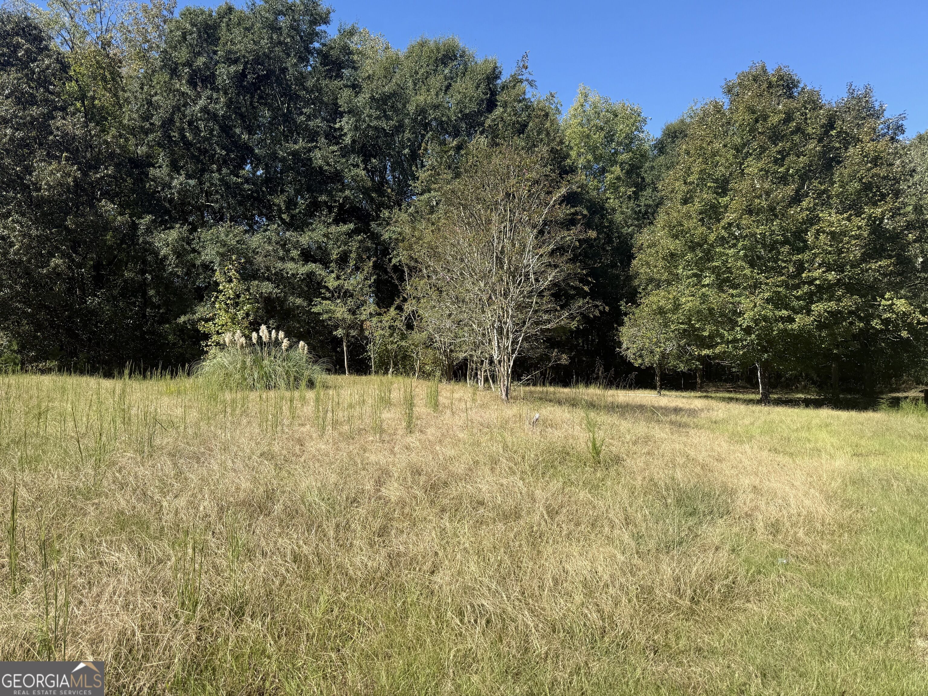 5731 Mount Olive Road Property Photo 4
