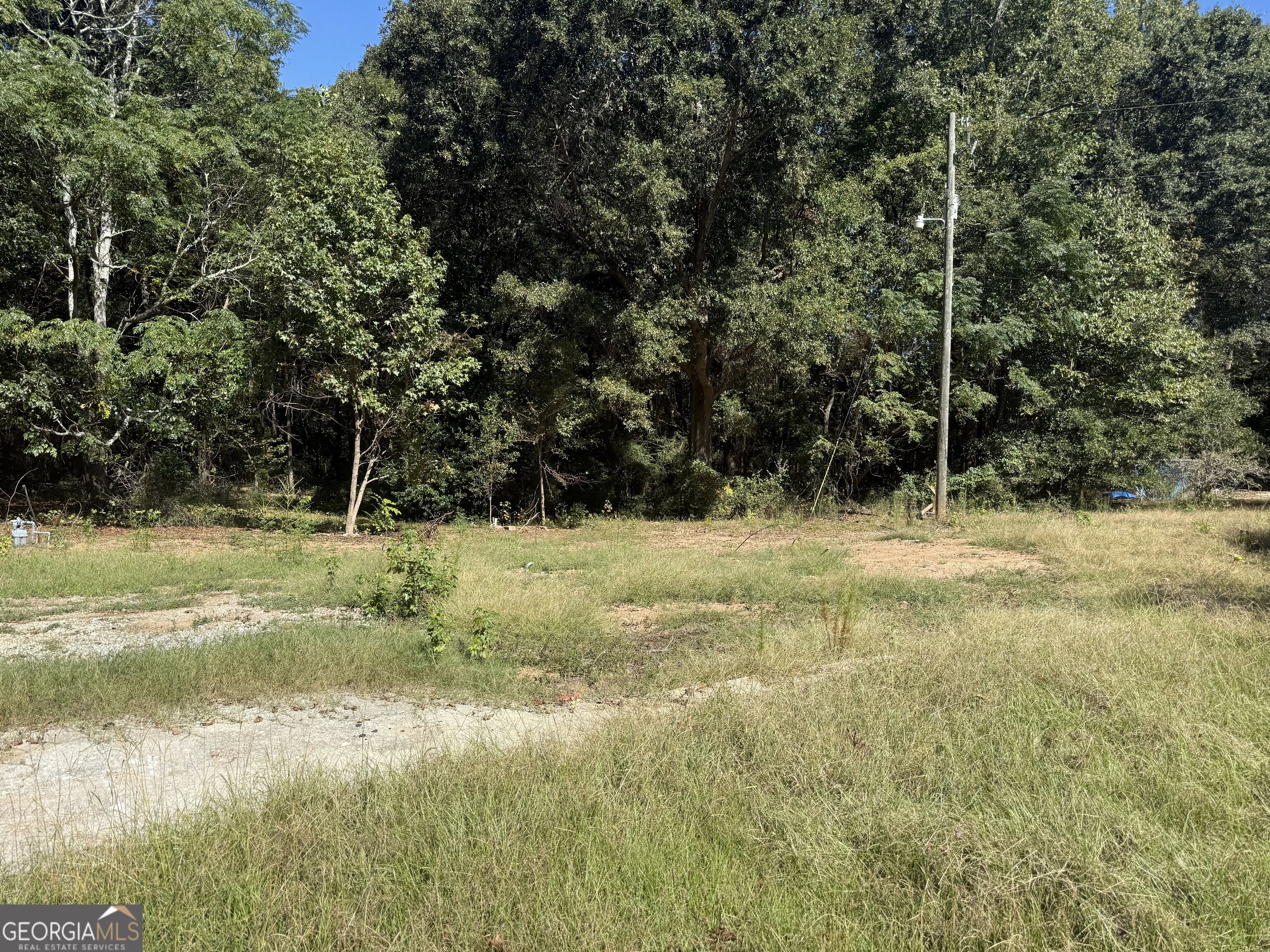 5731 Mount Olive Road Property Photo 5