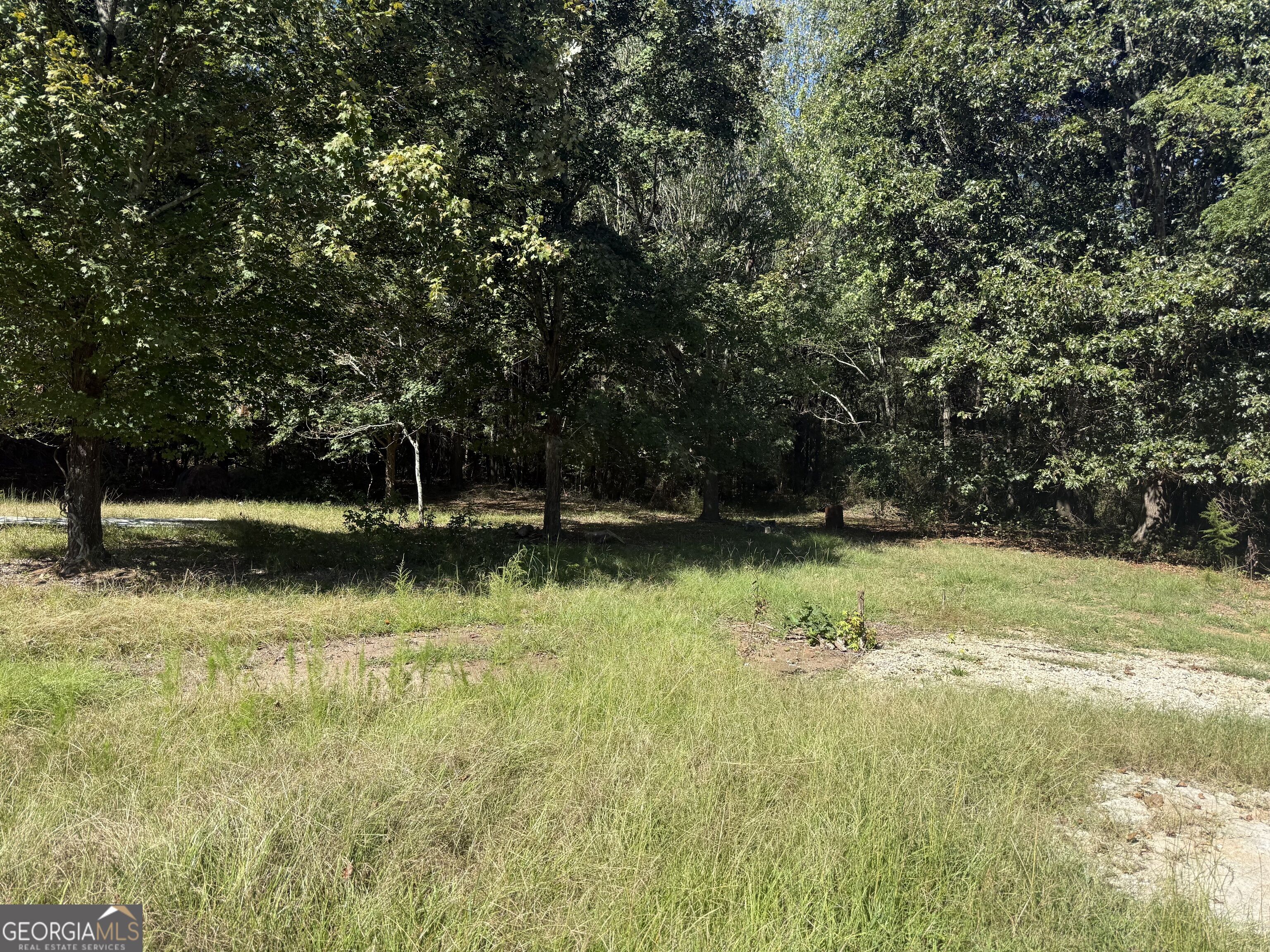 5731 Mount Olive Road Property Photo 6