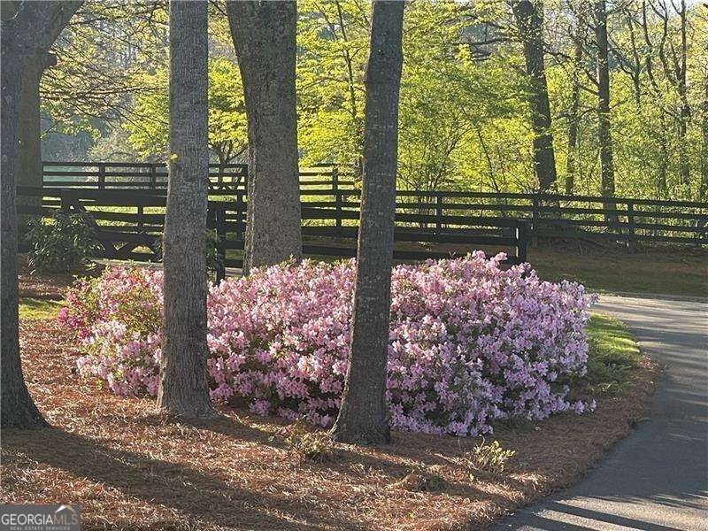 210 Etowah Landing Property Photo 69