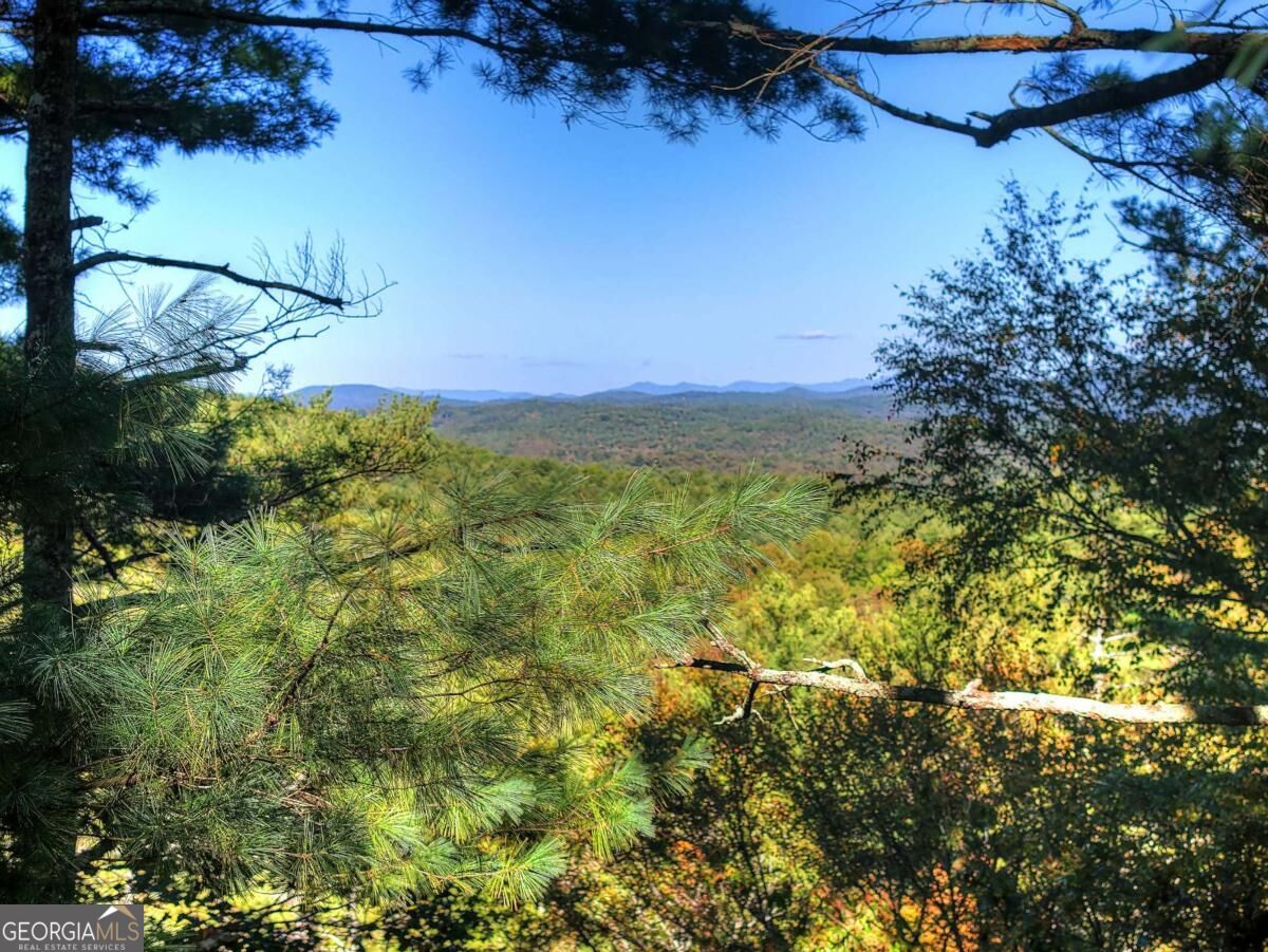 Lt 123 Bell Camp Ridge Road Property Photo 3