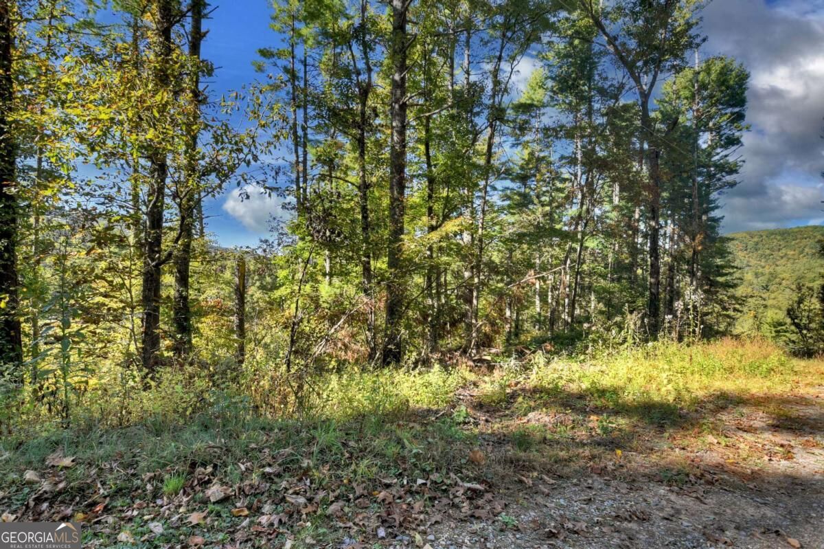Lt 123 Bell Camp Ridge Road Property Photo 4