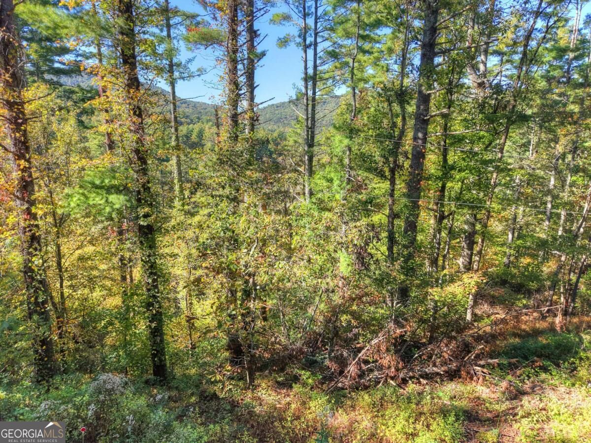Lt 123 Bell Camp Ridge Road Property Photo 5