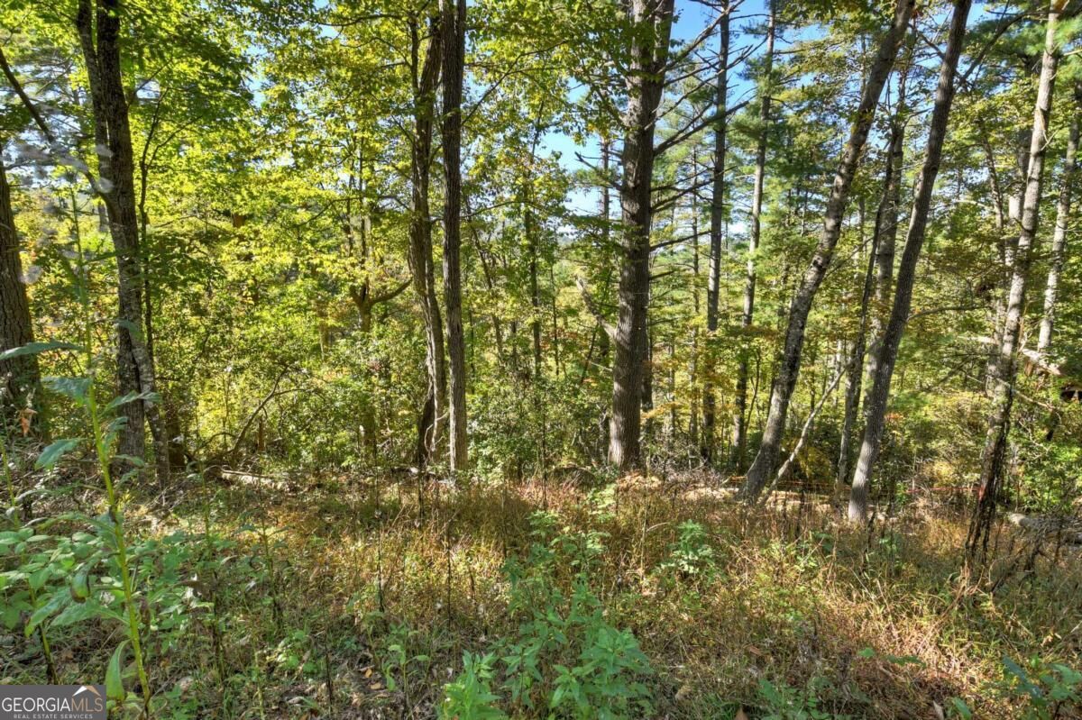 Lt 123 Bell Camp Ridge Road Property Photo 7