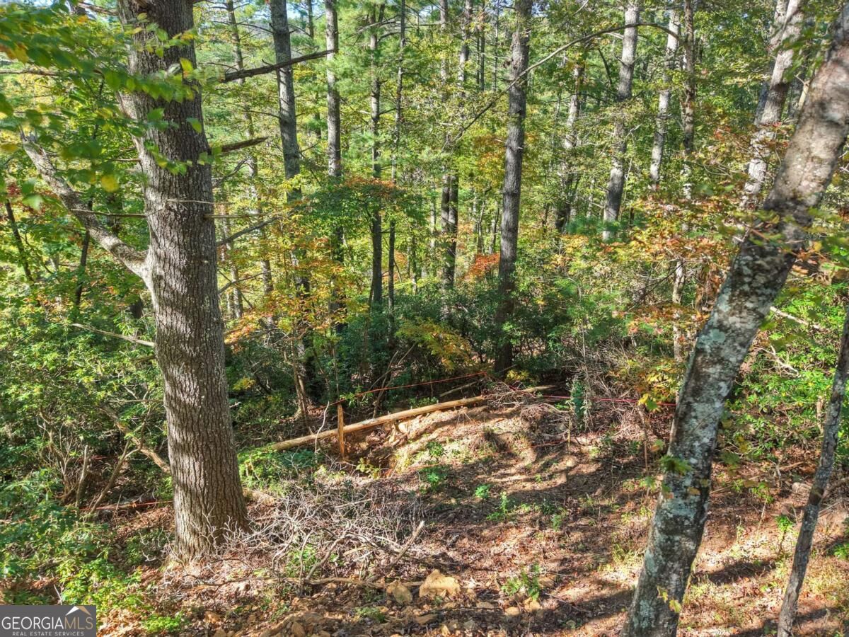 Lt 123 Bell Camp Ridge Road Property Photo 8