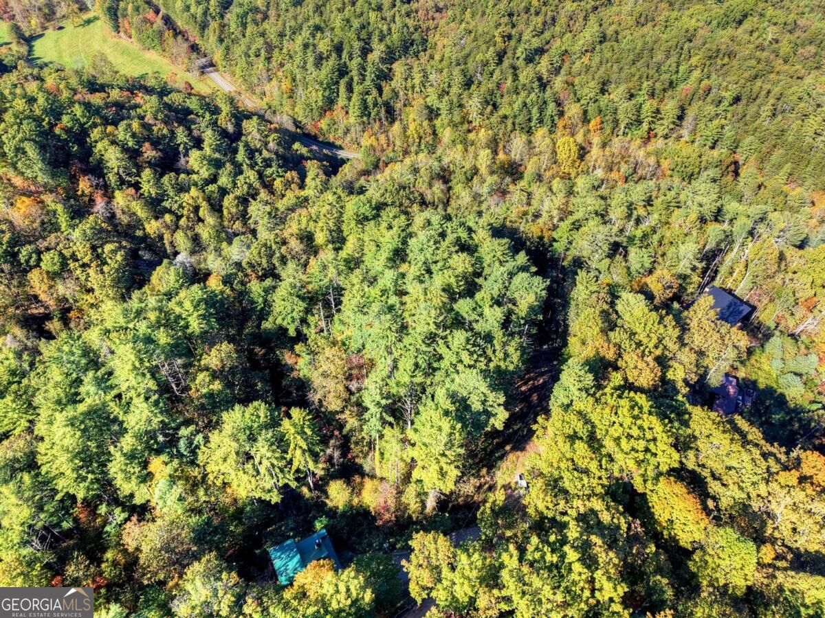Lt 123 Bell Camp Ridge Road Property Photo 12