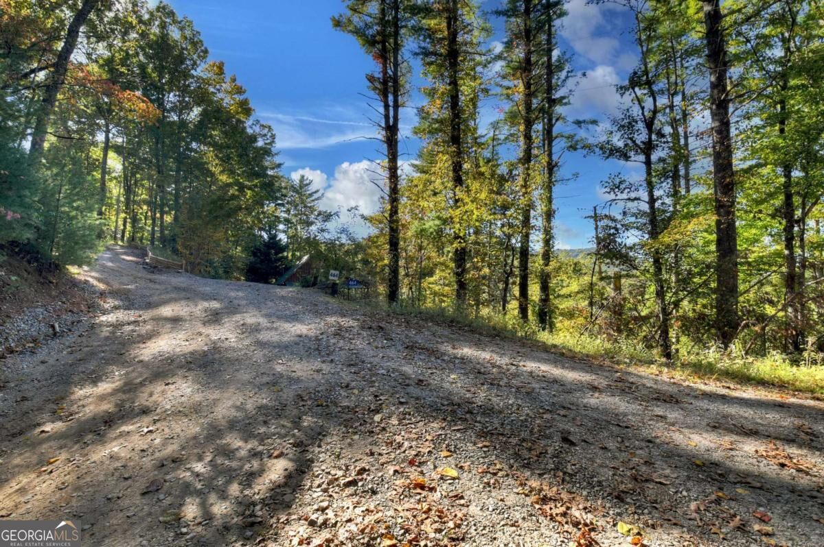 Lt 123 Bell Camp Ridge Road Property Photo 13