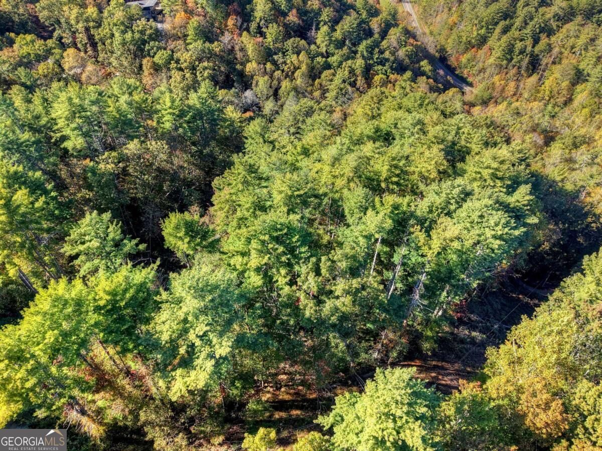 Lt 123 Bell Camp Ridge Road Property Photo 14