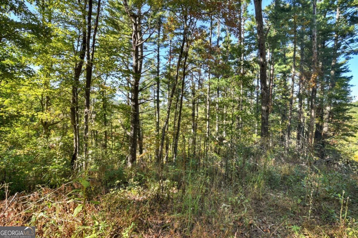 Lt 123 Bell Camp Ridge Road Property Photo 15