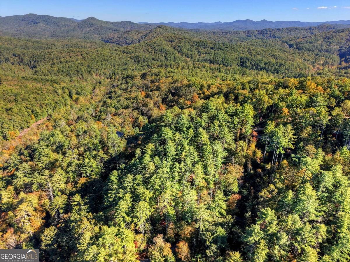 Lt 123 Bell Camp Ridge Road Property Photo 16