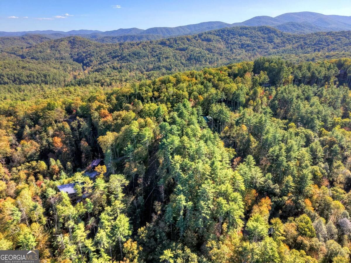 Lt 123 Bell Camp Ridge Road Property Photo 17