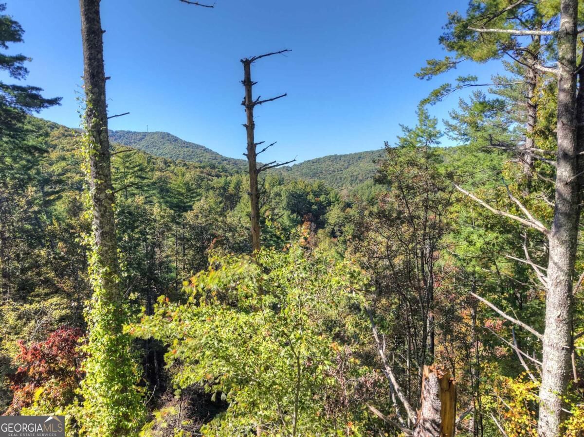 Lt 123 Bell Camp Ridge Road Property Photo 18