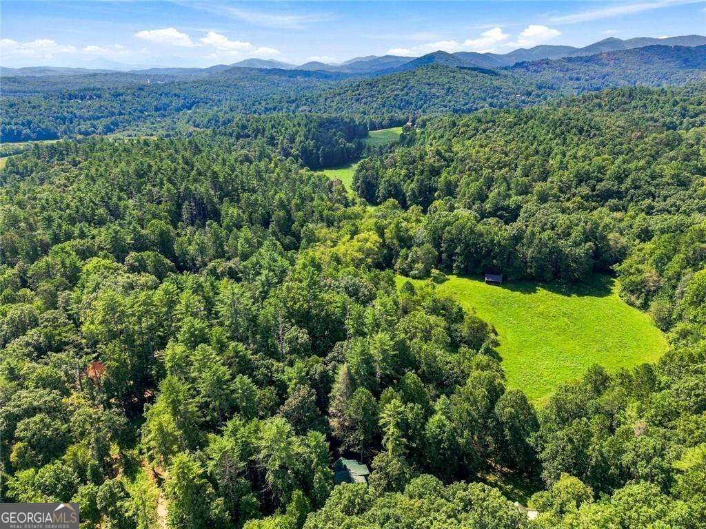 48 Twin Creeks Property Photo 41