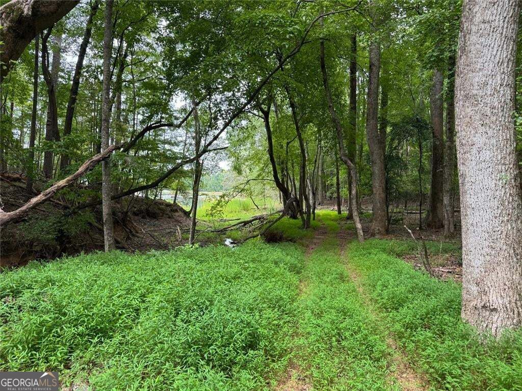 6430 Pine Ridge Circle Property Photo 4
