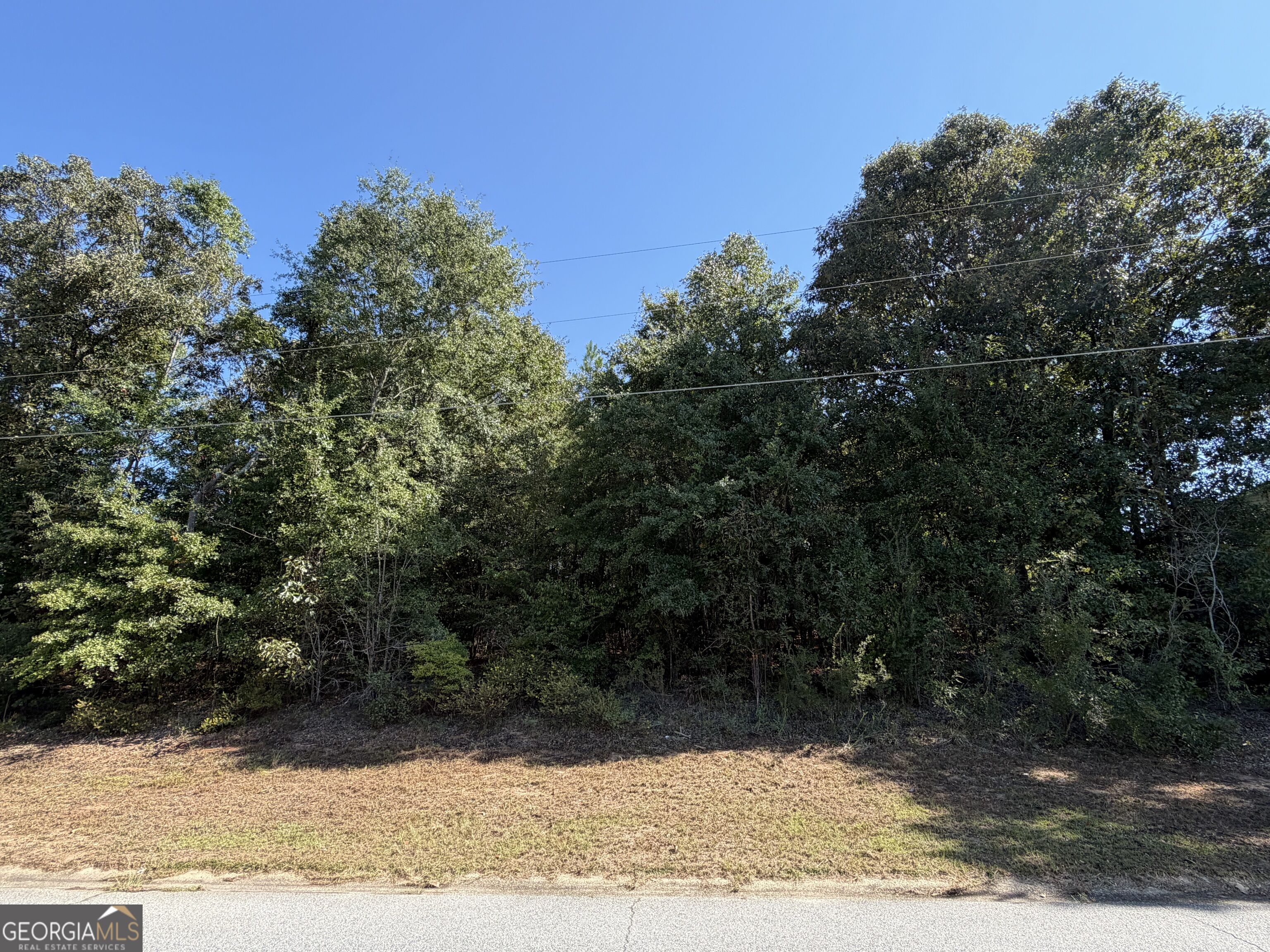 100 Dogwood Glen Drive Property Photo 1