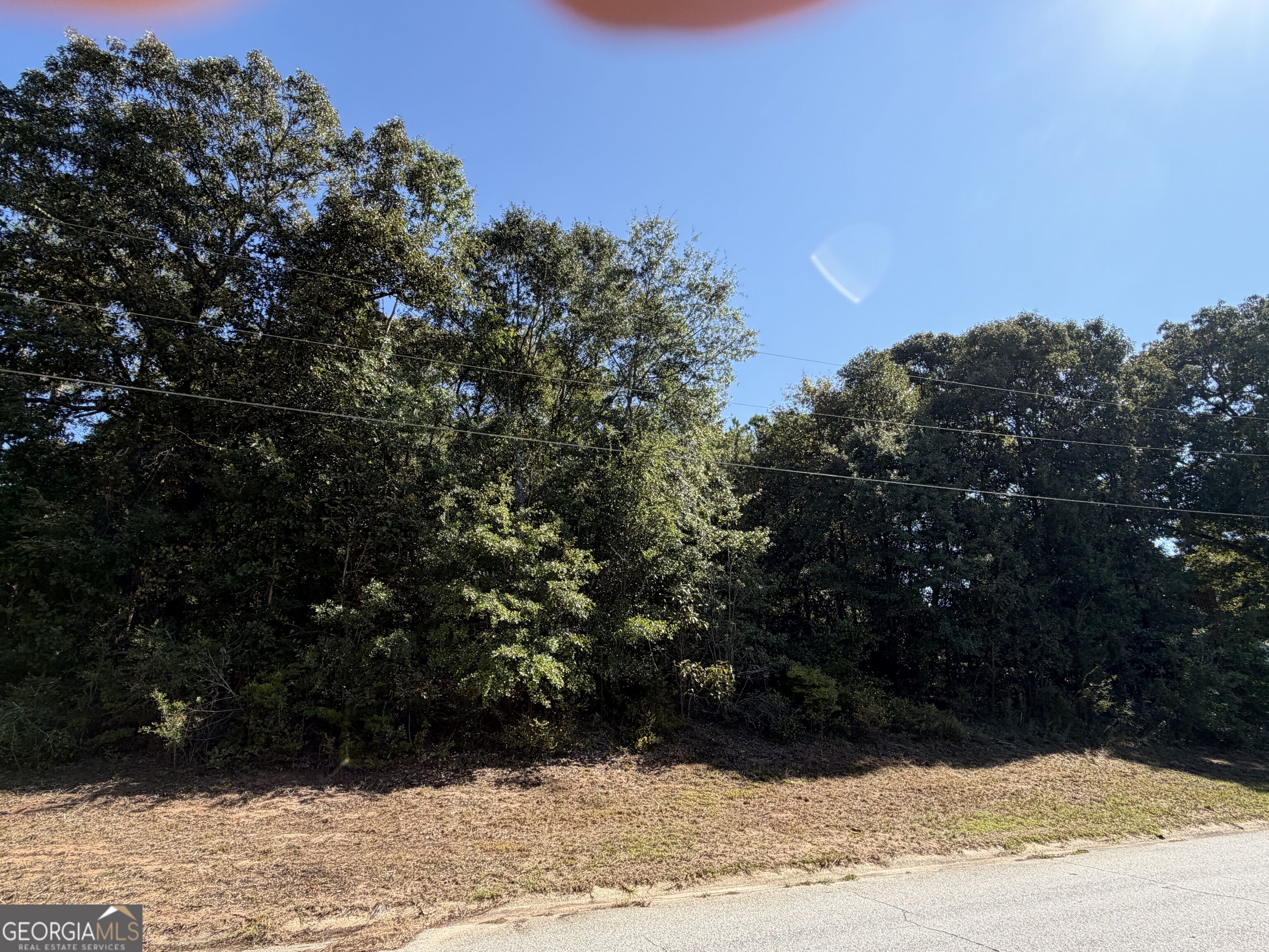 100 Dogwood Glen Drive Property Photo 2