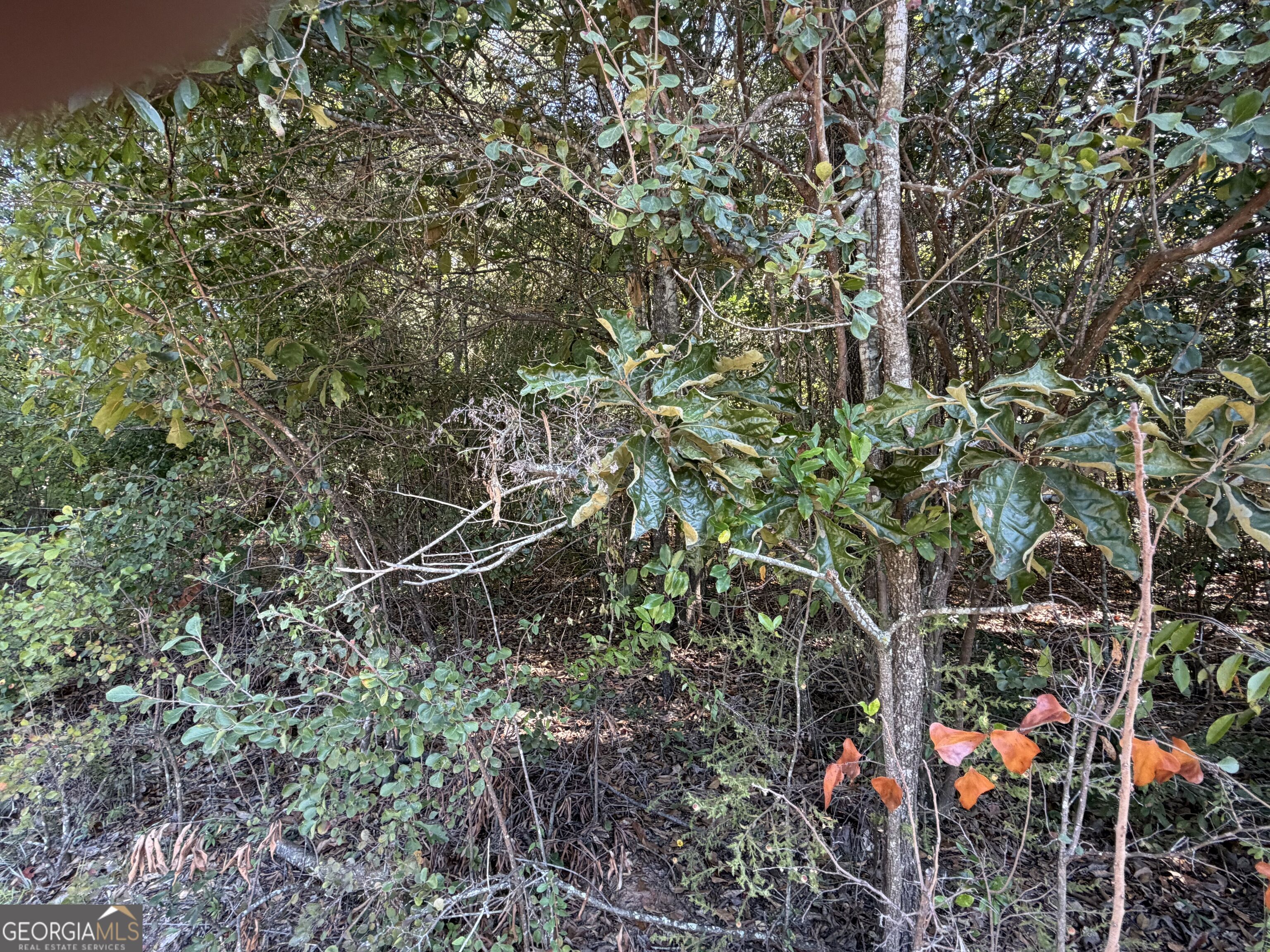 100 Dogwood Glen Drive Property Photo 4