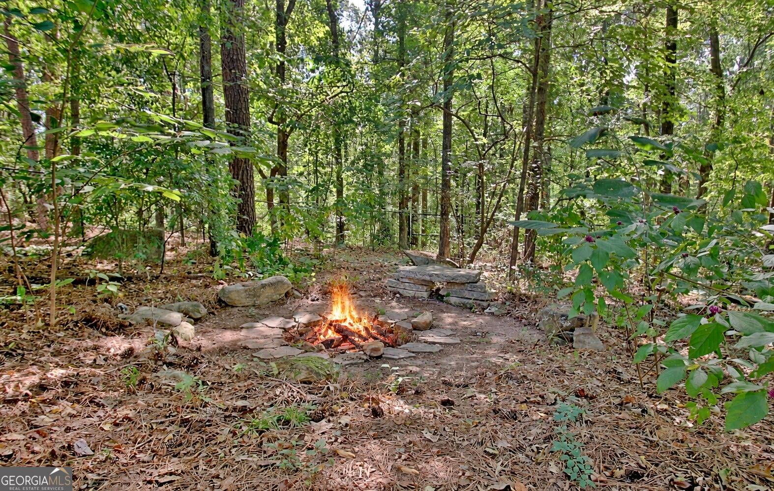 175 Chimney Springs Property Photo 79