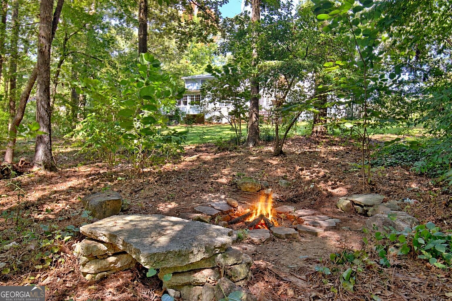 175 Chimney Springs Property Photo 80