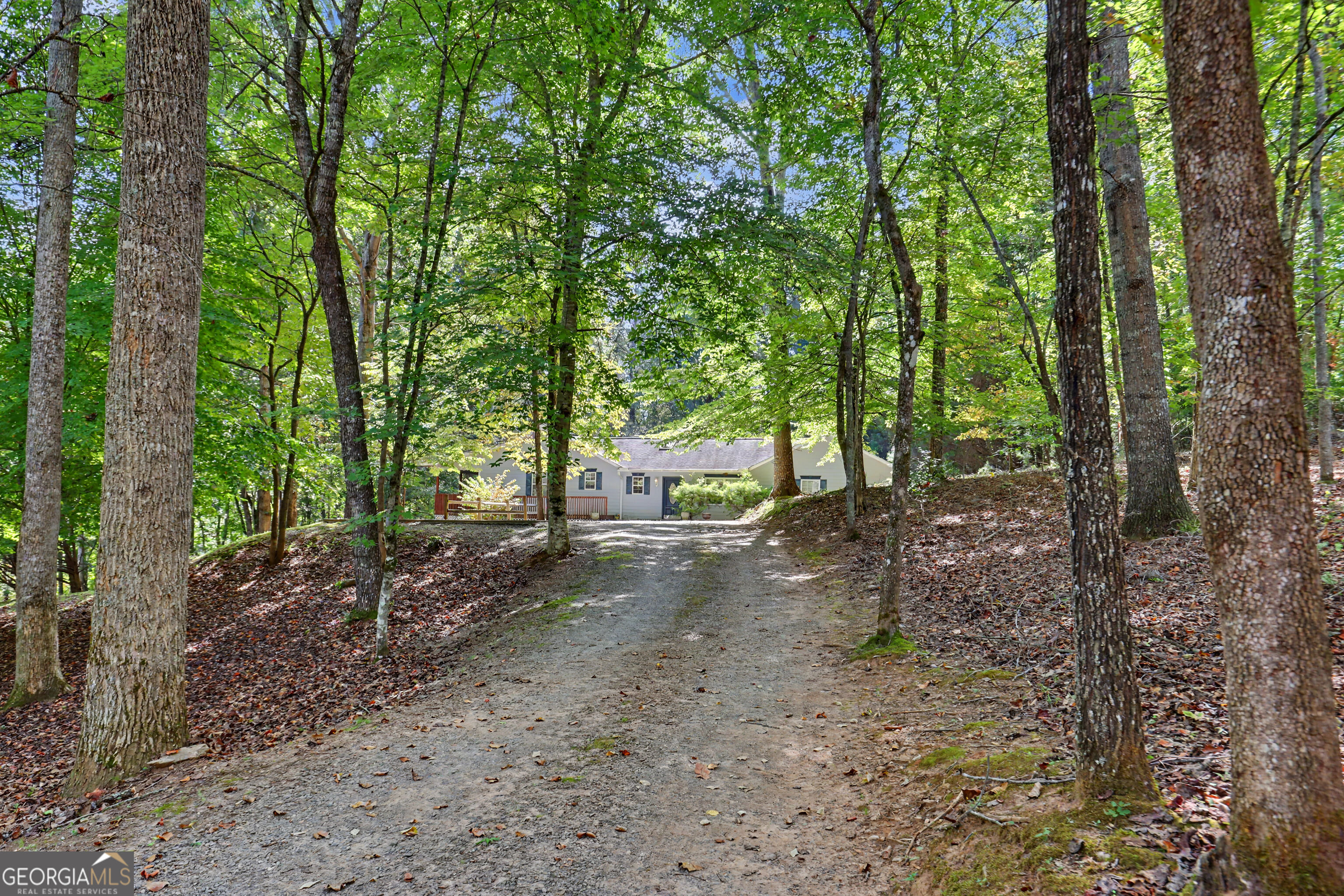 6961 Wood Lake Circle Property Photo 4