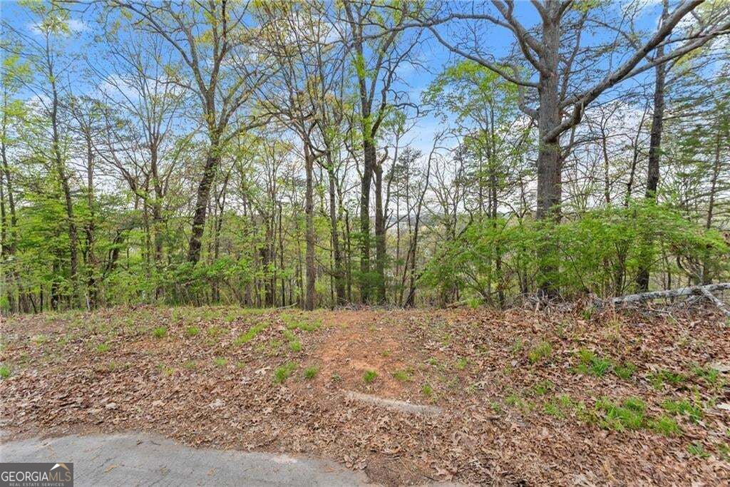 0 Thompson Ovlk Property Photo 5