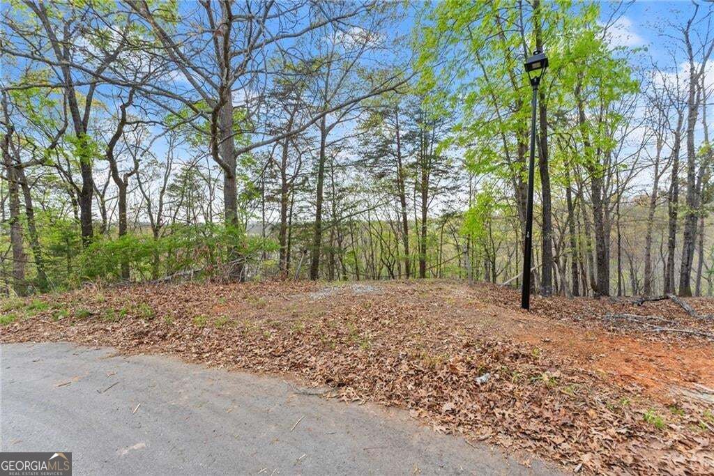 0 Thompson Ovlk Property Photo 6