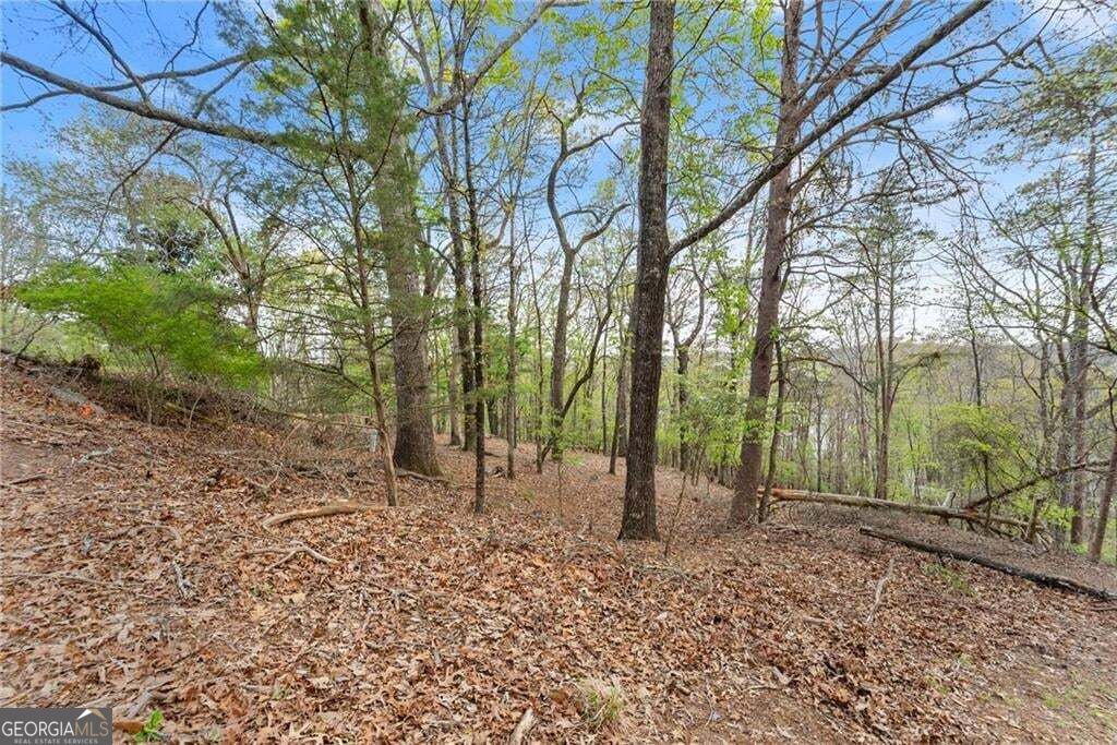 0 Thompson Ovlk Property Photo 8