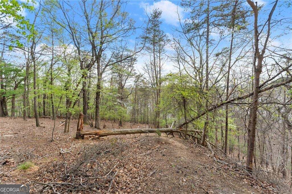 0 Thompson Ovlk Property Photo 10