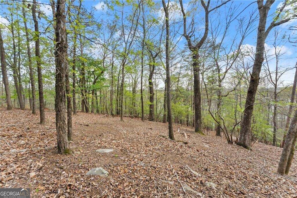 0 Thompson Ovlk Property Photo 11